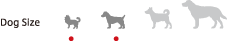Dog Size