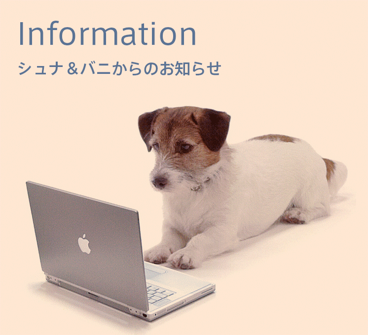 information シュナ＆バニからのお知らせ